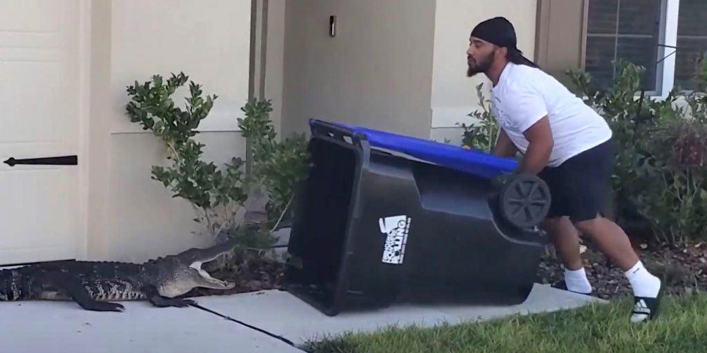 Seorang lelaki Florida cuba untuk menangkap buaya sesat menggunakan tong sampah